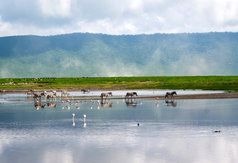 ngorongoro (1)