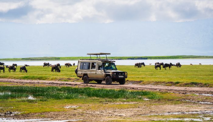 Ngorongoro Crater safaris