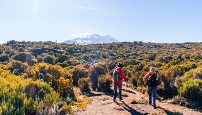 marangu trekking